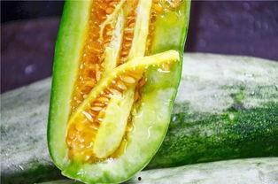 网红吃瓜视频在哪里找到,热门平台及制作技巧大揭秘 第3张 网红吃瓜视频在哪里找到,热门平台及制作技巧大揭秘 第3张